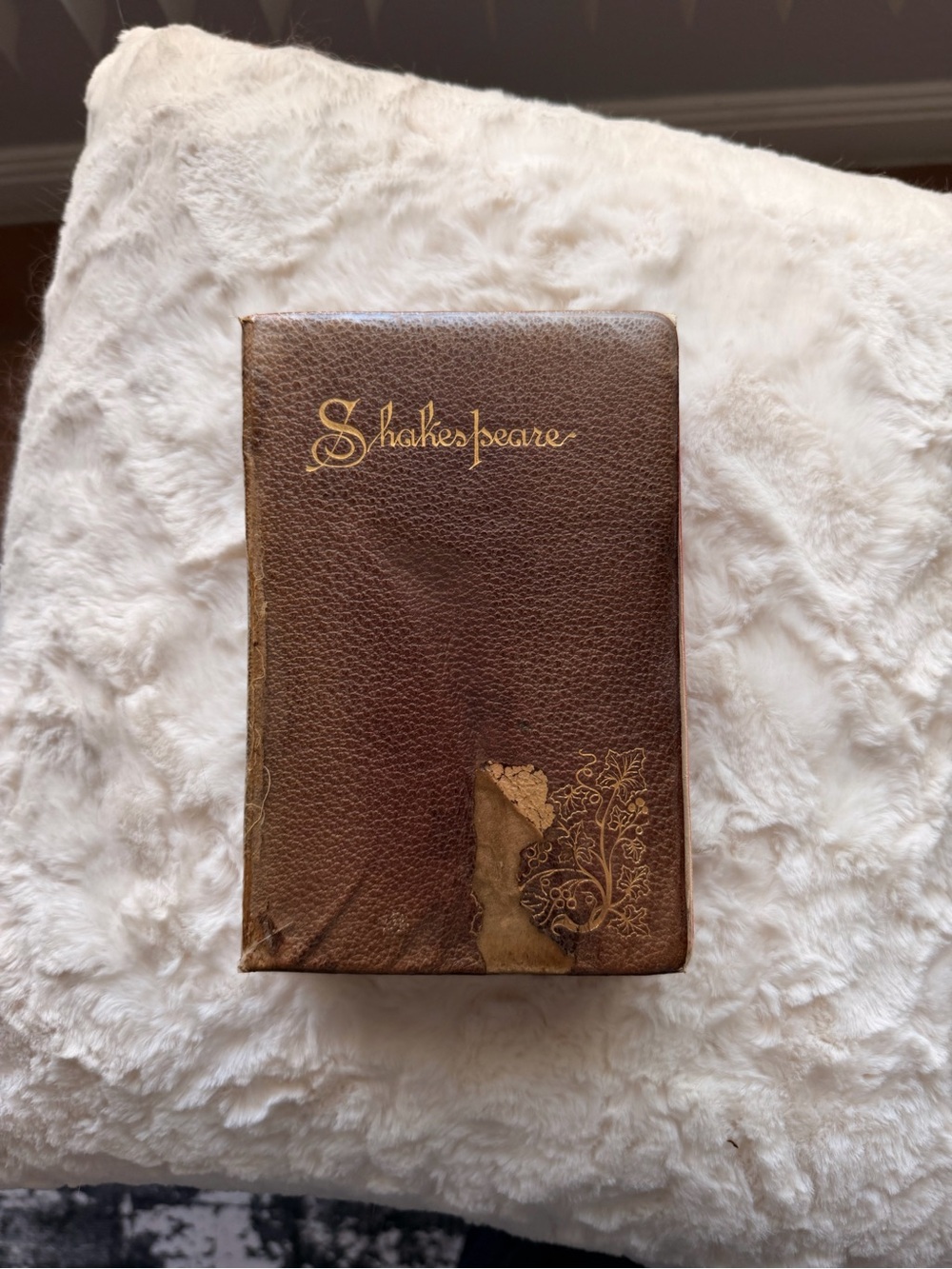 Vintage Antique Leather Bound Complete Works of William Shakespeare Book
